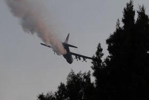 Gobierno de EEUU declinó prestar aviones a Chile para combate de incendios