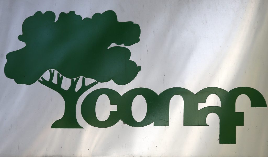 Brigadistas de Conaf de Biobío suman seis días de huelga