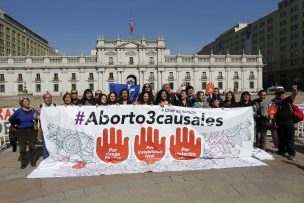 Minsal publicó protocolo que deben seguir médicos por abortos en 3 causales