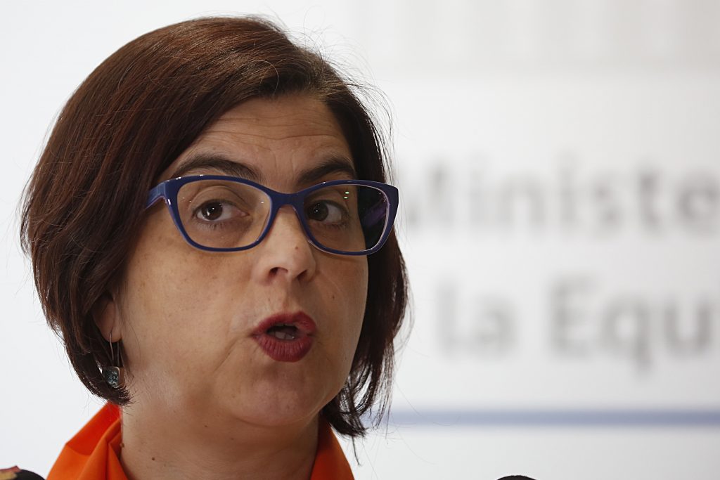 Pascual por femicidio en La Florida: Nos remite a un cambio cultural profundo