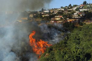 Declaran Alerta Roja para la comuna de Curacaví por incendio forestal