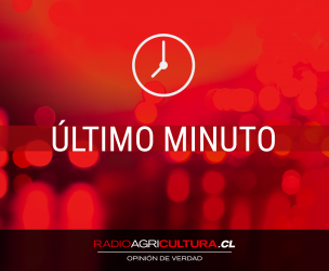 Incendio afecta a Cerro Molino y Cerro Polanco en Valparaíso