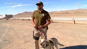 Carabinero se emocionó hasta las lágrimas con el retiro de su perro y compañero en Alerta Máxima