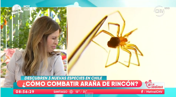 Karina Álvarez debió enfrentar su miedo a las arañas en cámara