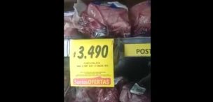 Quilpué: mujer encontró murciélagos en el refrigerador de la carne de un supermercado