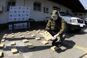 OS7 incauta 2.769 kilos de marihuana creepy, avaluados en US$45 millones