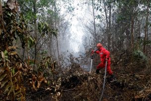 11 desaparecidos y 14 heridos dejó un deslizamiento de tierra en Indonesia