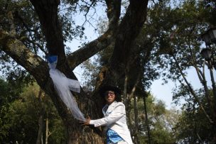 Ambientalista peruano promueve boda colectiva con árboles en México