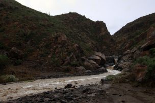 Declaran Alerta Temprana Preventiva en la provincia del Tamarugal por aumento de caudal del río Tarapacá