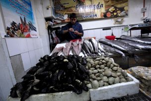 Amplían zona con prohibición para extraer mariscos en región de Los Lagos por marea roja