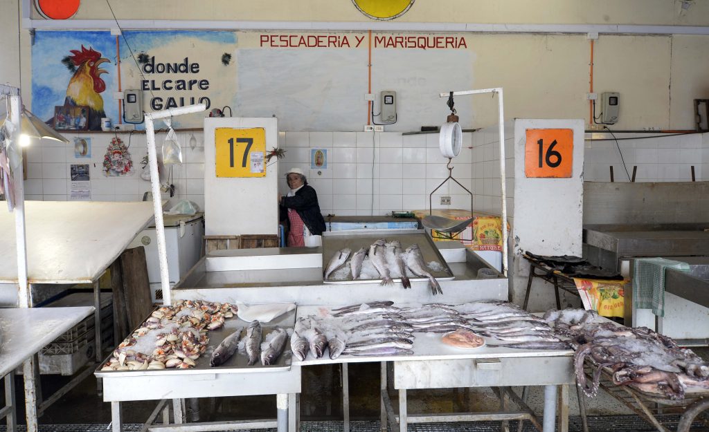 Gobierno decretó Alerta Sanitaria Preventiva en toda la Región de Los Lagos por marea roja