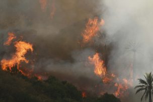 Declaran Alerta Roja para Calera de Tango por incendio forestal