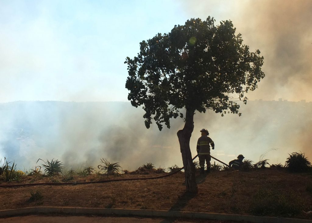 Se declara Alerta Amarilla para la provincia de Malleco por incendio forestal