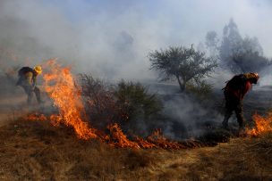 Declaran Alerta Roja para Cartagena por dos focos de incendio forestal