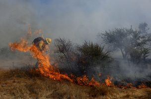 Intendencia de Coquimbo declaró Alerta Amarilla para Ovalle por incendio forestal