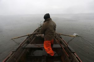 Respaldan captura de salmones fugados de instalaciones de salmonicultura