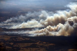 Incendio en Ercilla destruye 1.775 hectáreas: bombero sigue en riesgo vital