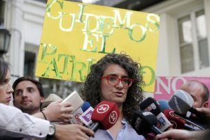 Municipio de Santiago adherirá a querella por daños a escultura en Bellas Artes