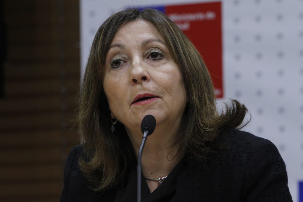 Influenza: ministra llama a no caer en pánico y a vacunarse con responsabilidad