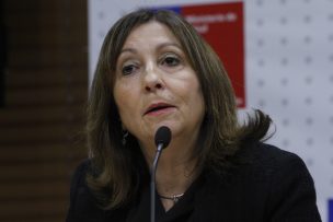 Influenza: ministra llama a no caer en pánico y a vacunarse con responsabilidad