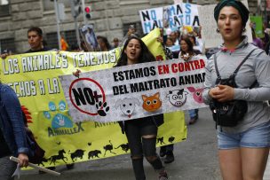 Autor español lanzará libro de derechos animales en Chile