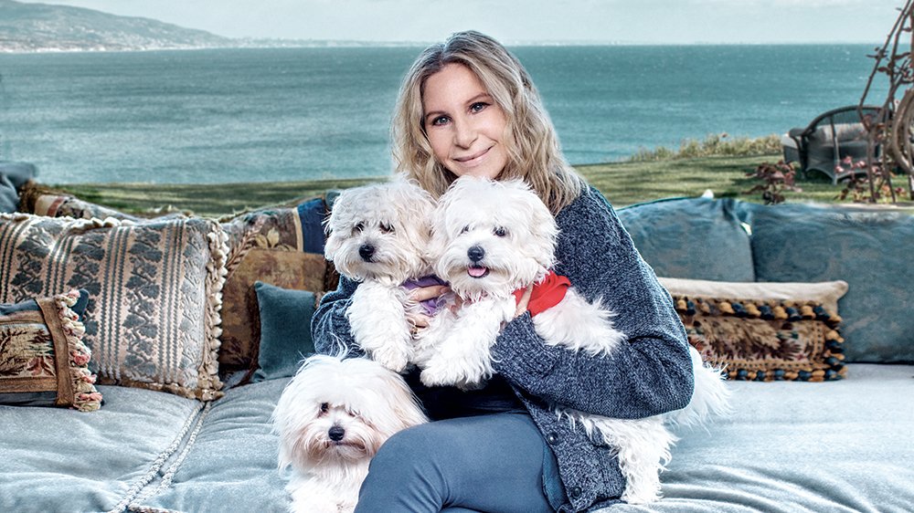 Barbra Streisand sorprendió confesando que sus perros son clones de su mascota fallecida
