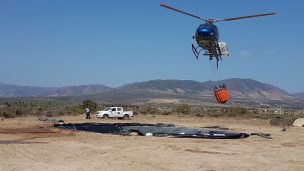 Privados se unen a CONAF y bomberos para apagar incendios en IV y V región