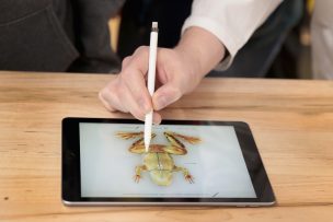 Más barato y compatible con el ApplePencil: Las novedades que destacan en el iPad 2018