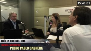 Pedro Pablo Cabrera, diplomático: “Hay tranquilidad de que los tratados existen”