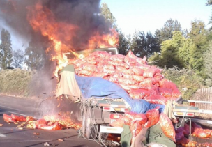 Choque entre dos camiones dejó un fallecido y cuatro heridos cerca de Teno