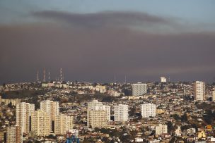 Se declara alerta roja en Quilpupe por incendio forestal de gran magnitud