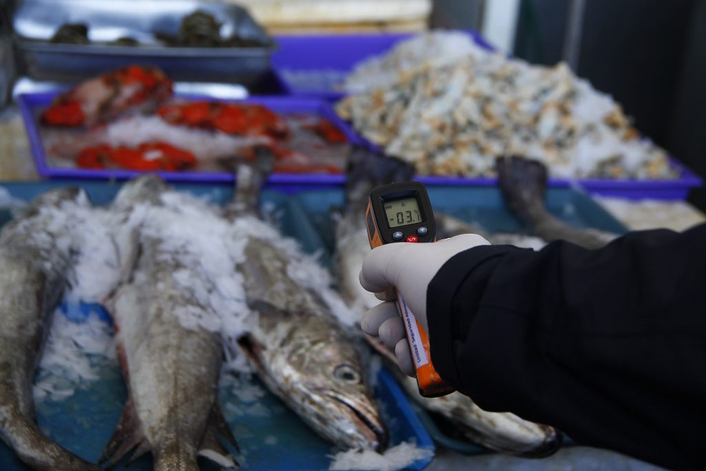 Previo a Semana Santa: Decomisan más de 2.370 kilos de productos del mar