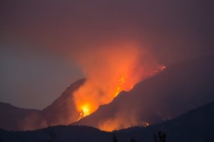 Incendio forestal ha consumido más de 100 hectáreas en sector de Aculeo