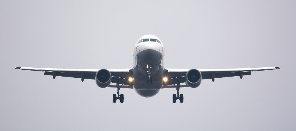 Increíble: error de azafata terminó con un perro muerto en pleno vuelo