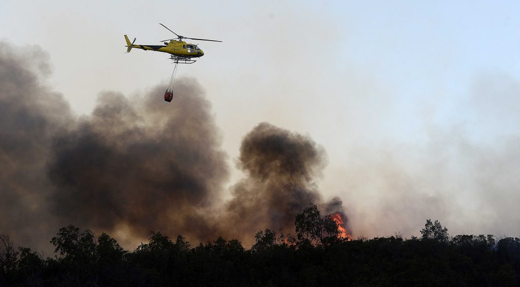 Intendencia de O’Higgins declaró Alerta Roja por incendio forestal en comuna de Las Cabras