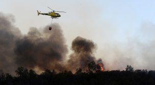 Intendencia de O'Higgins declaró Alerta Roja por incendio forestal en comuna de Las Cabras