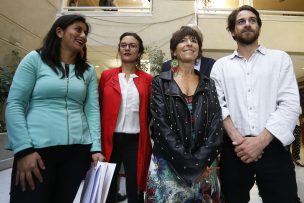 Diputados concretaron solicitud de comisión investigadora por el CAE