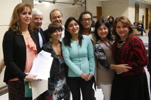 Diputados del PPD-PRO presentaron proyecto de educación sexual obligatoria en los colegios