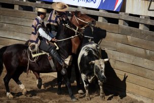 Alcaldes rurales celebran dictamen de Contraloría que autoriza rodeo en Recoleta