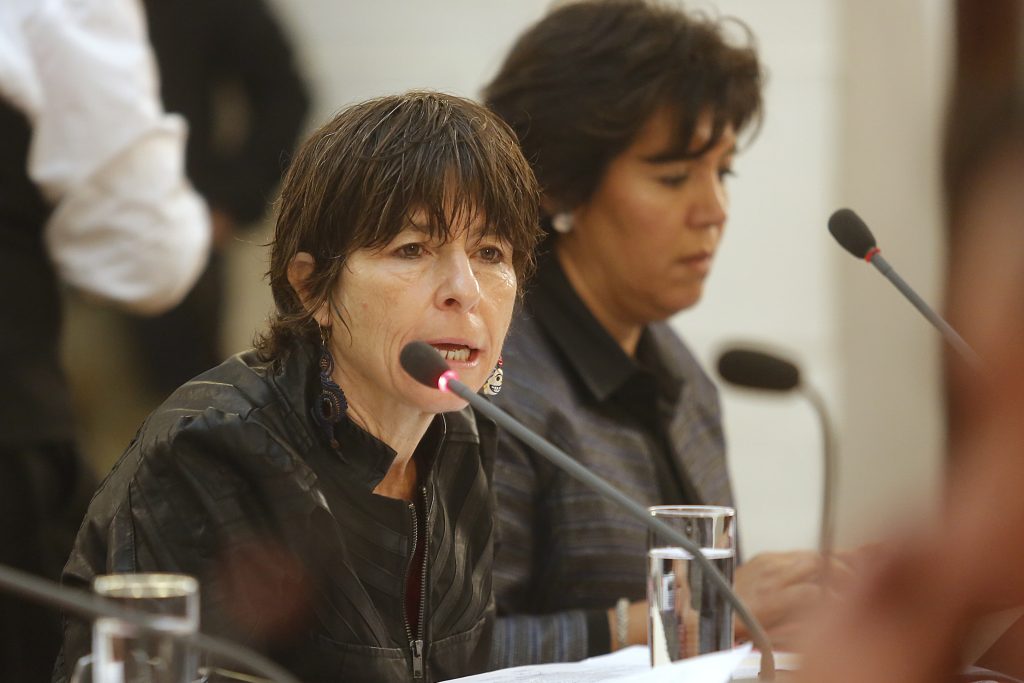 Diputada Girardi pide aclarar “fin del lucro” respecto a IP y CFT