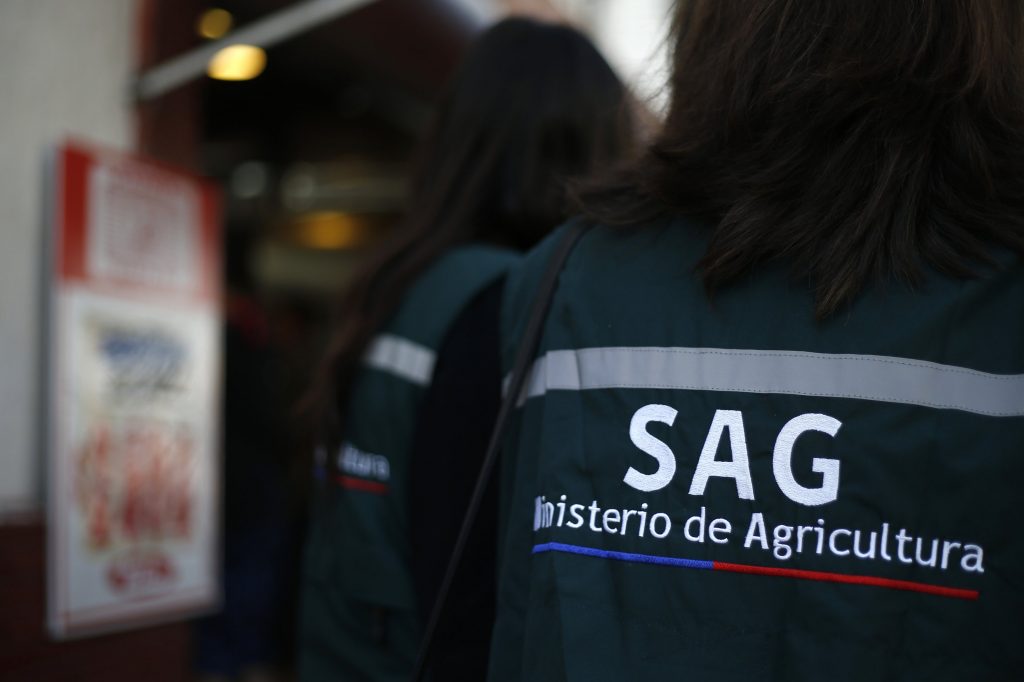 SAG advierte por insecticida indebido en fungicida para la uva de mesa