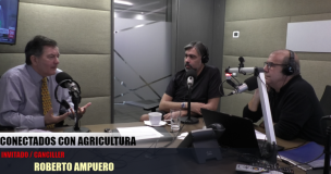 Roberto Ampuero por designación de Pablo Piñera como embajador: 