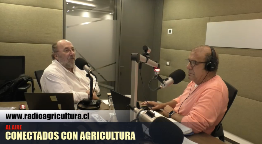 Melnick por la no participación de Insulza en comisión de seguridad: “Es una cobardeja, no un panzer”