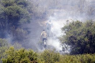 Mantienen alerta amarilla para la comuna de Teno por dos incendios forestales