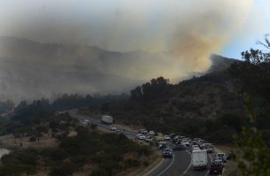 Declaran Alerta Roja para la comuna de Curacaví por incendio forestal