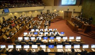 Cámara de Diputados aprobó proyecto que regula captura de la jibia