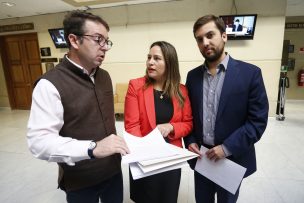 Diputados DC ingresan proyecto para regular matrimonio después del divorcio