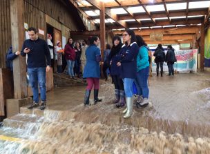 Inundaciones en Juan Fernández tras caída de 124 mms. de lluvia en 4 horas