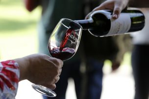 Exportaciones del vino embotellado tuvieron alza en precio promedio de 6,3%