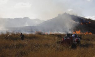 Unos 13.000 heridos de bala en Gaza por disparos de Israel, dice Cruz Roja